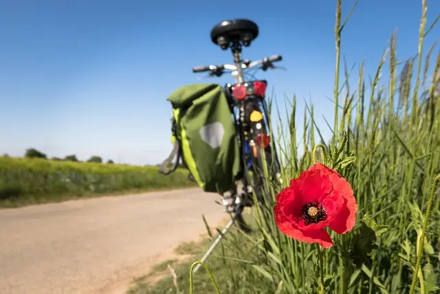 Comment bâtir un plan de retraite solide et durable
